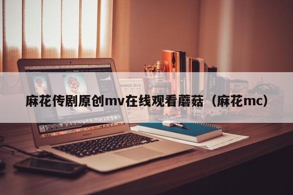 麻花传剧原创mv在线观看蘑菇（麻花mc）