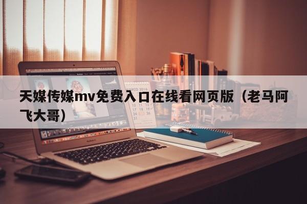 天媒传媒mv免费入口在线看网页版（老马阿飞大哥）