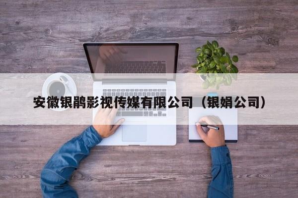 安徽银鹃影视传媒有限公司（银娟公司）
