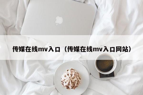 传媒在线mv入口（传媒在线mv入口网站）